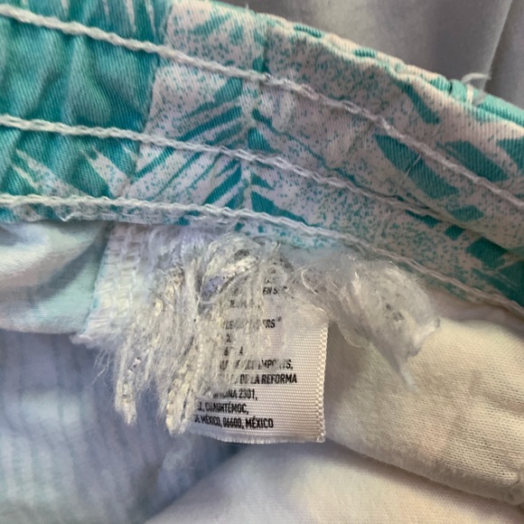 American Eagle Shorts - Picture 3 of 3